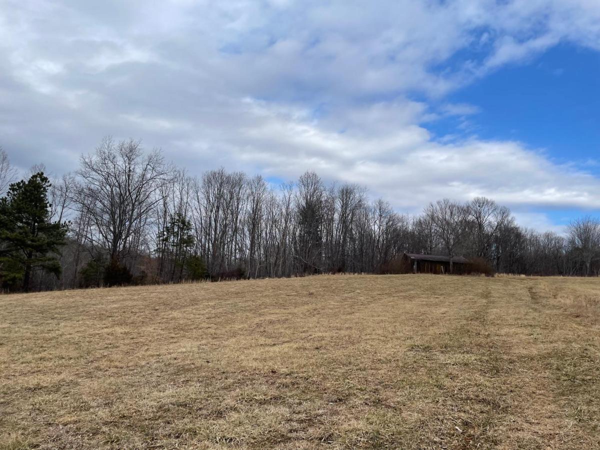 Giggling Creek Cottage - Bedjet! King Sized! Gazebo, 45 Acres, Arcades, Nintendo, More Henry Esterno foto
