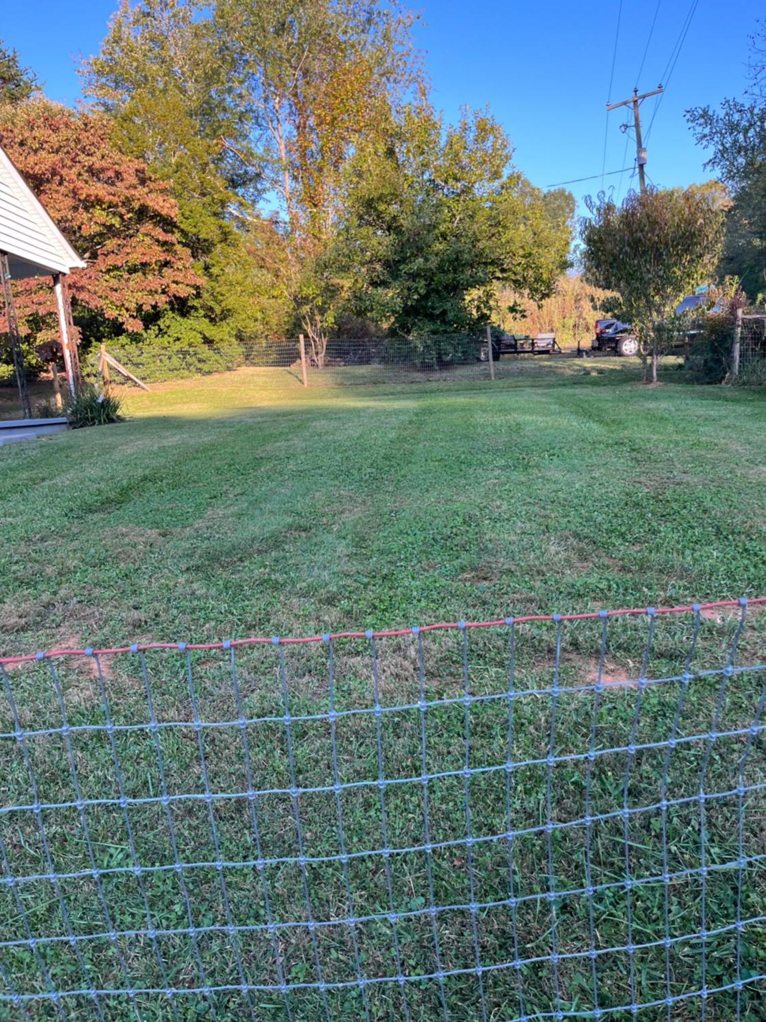 Giggling Creek Cottage - Bedjet! King Sized! Gazebo, 45 Acres, Arcades, Nintendo, More Henry Esterno foto